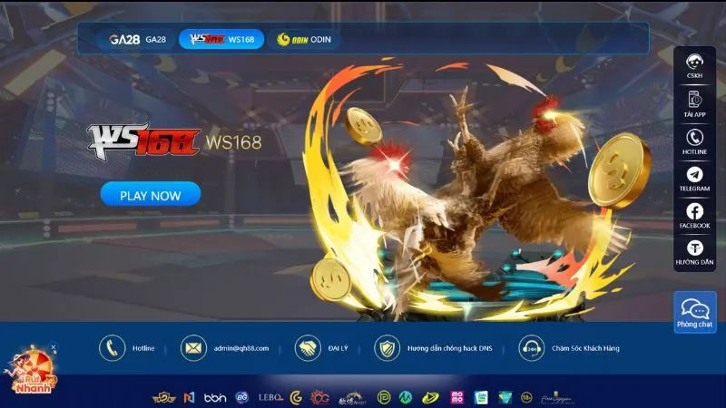 Sảnh đá gà WS168 thiết kế giao diện đẹp, chuyên nghiệp