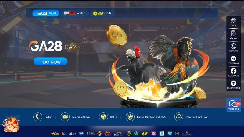 Đá gà Ga28 thiết kế giao diện đẹp, chuyên nghiệp