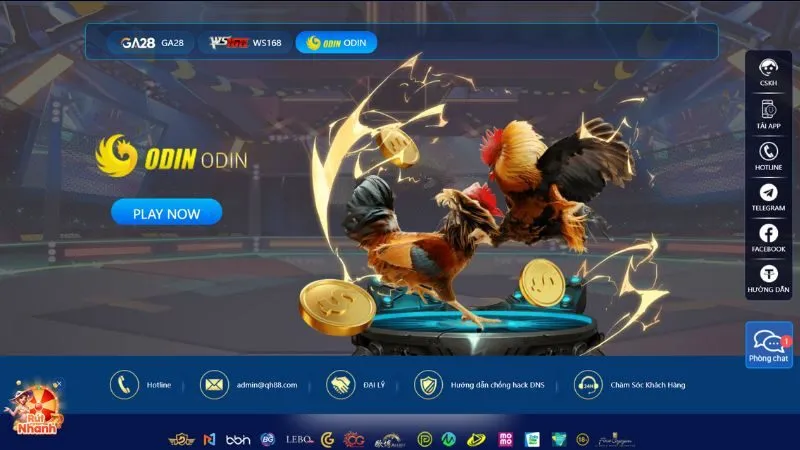 Thiết kế giao diện sảnh đá gà ODIN đẹp, sống động