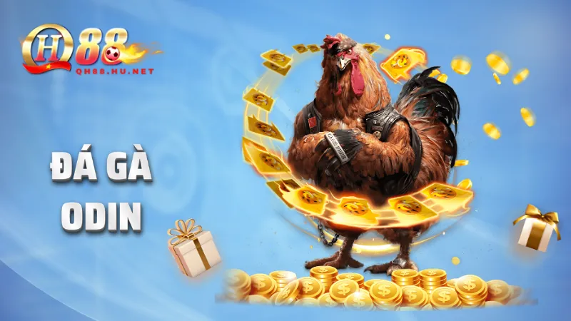 Đá gà ODIN